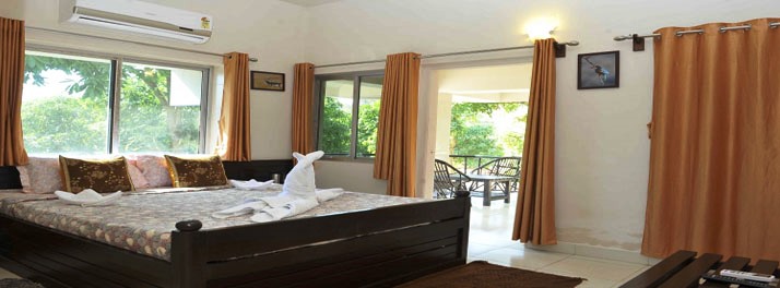 1432/Camp Leo & Gir Pride Resort - Gir National Park 11.jpg